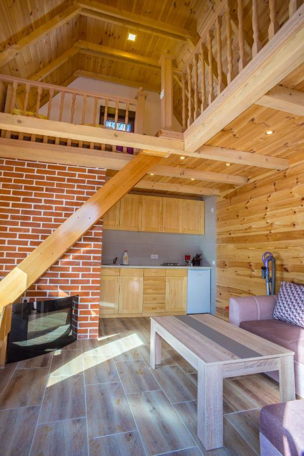 Koliba Cincila Villa Zabljak  Luaran gambar