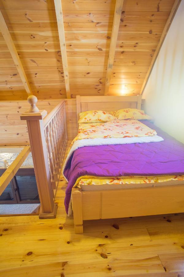 Koliba Cincila Villa Zabljak  Luaran gambar