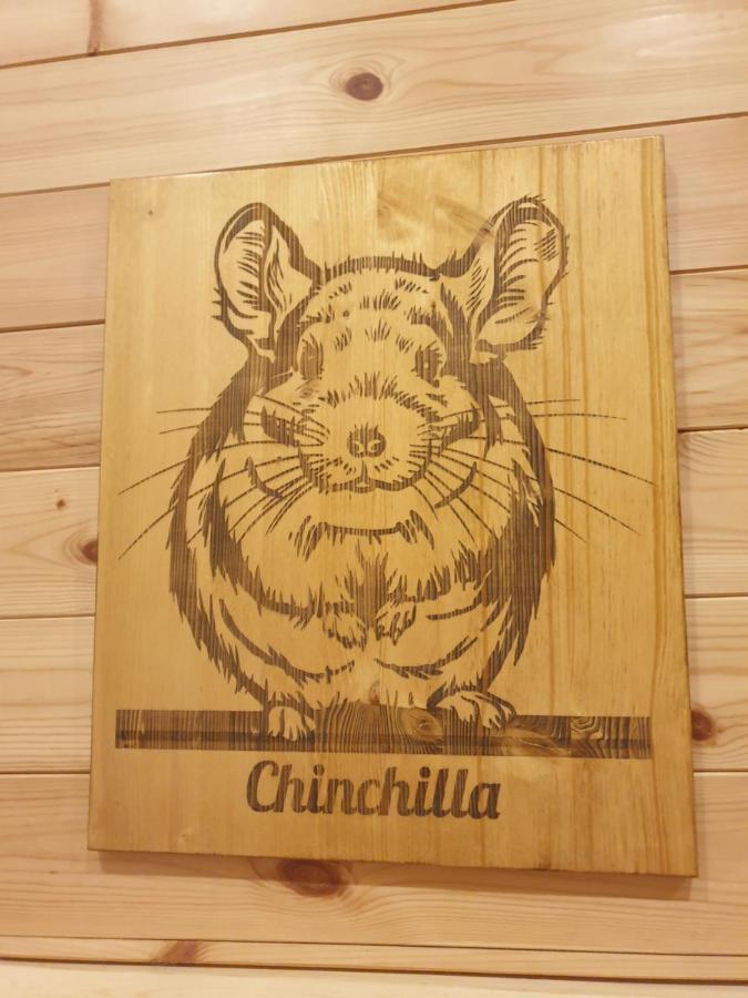 Koliba Cincila Villa Zabljak  Luaran gambar
